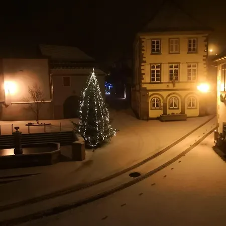 Maison Dans Le Vignoble Alsacien *